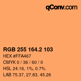 Color code: RGB 255 164.2 103 | qconv.com