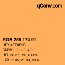 Color code: RGB 255 174 91 | qconv.com