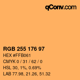 Color code: RGB 255 176 97 | qconv.com