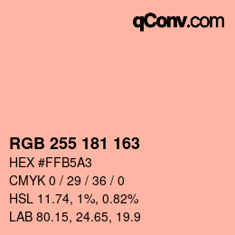 Color code: RGB 255 181 163 | qconv.com