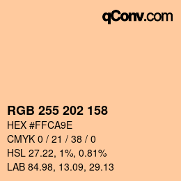 Color code: RGB 255 202 158 | qconv.com