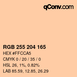 Color code: RGB 255 204 165 | qconv.com