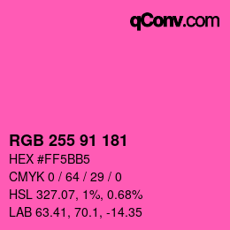 Color code: RGB 255 91 181 | qconv.com