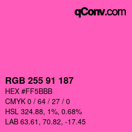 Color code: RGB 255 91 187 | qconv.com