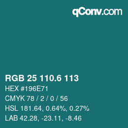 カラーコード: RGB 25 110.6 113 | qconv.com