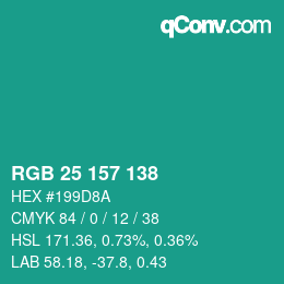 カラーコード: RGB 25 157 138 | qconv.com
