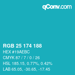Color code: RGB 25 174 188 | qconv.com