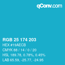 Color code: RGB 25 174 203 | qconv.com