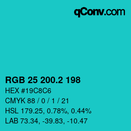 カラーコード: RGB 25 200.2 198 | qconv.com