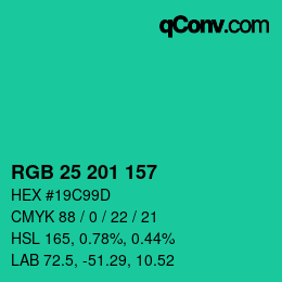 Color code: RGB 25 201 157 | qconv.com