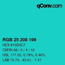 Color code: RGB 25 208 199 | qconv.com