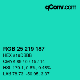 Color code: RGB 25 219 187 | qconv.com