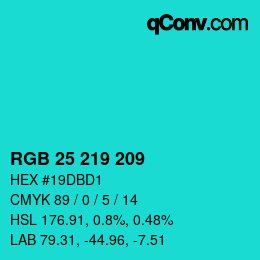 Color code: RGB 25 219 209 | qconv.com