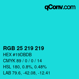 Color code: RGB 25 219 219 | qconv.com