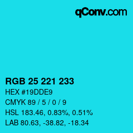 Color code: RGB 25 221 233 | qconv.com