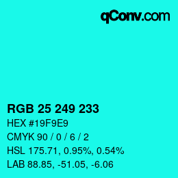 Color code: RGB 25 249 233 | qconv.com