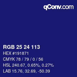 Color code: RGB 25 24 113 | qconv.com