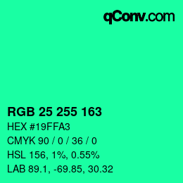 Color code: RGB 25 255 163 | qconv.com