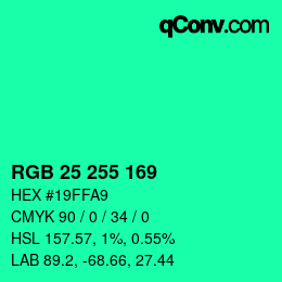 Color code: RGB 25 255 169 | qconv.com