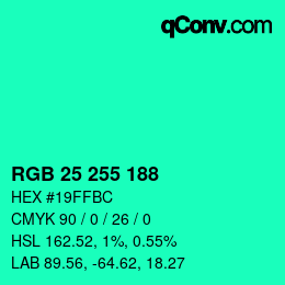 Color code: RGB 25 255 188 | qconv.com