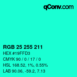 Color code: RGB 25 255 211 | qconv.com