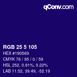 Color code: RGB 25 5 105 | qconv.com