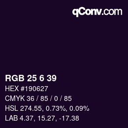 Color code: RGB 25 6 39 | qconv.com