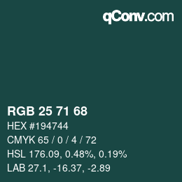 Color code: RGB 25 71 68 | qconv.com