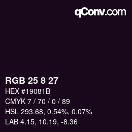 Color code: RGB 25 8 27 | qconv.com