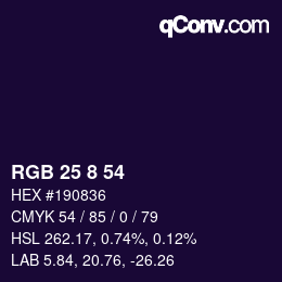 Color code: RGB 25 8 54 | qconv.com