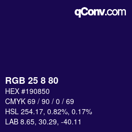 Color code: RGB 25 8 80 | qconv.com