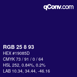 Color code: RGB 25 8 93 | qconv.com