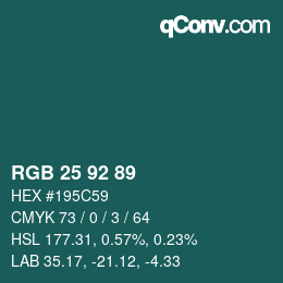 Color code: RGB 25 92 89 | qconv.com