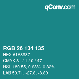 Color code: RGB 26 134 135 | qconv.com