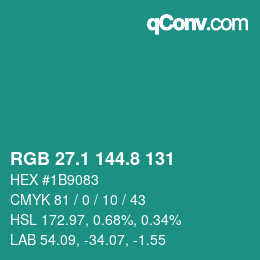 Color code: RGB 27.1 144.8 131 | qconv.com
