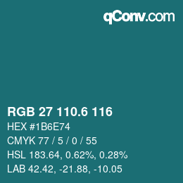 カラーコード: RGB 27 110.6 116 | qconv.com