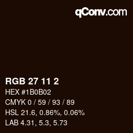 Color code: RGB 27 11 2 | qconv.com