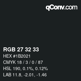 Color code: RGB 27 32 33 | qconv.com