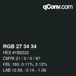 Color code: RGB 27 34 34 | qconv.com