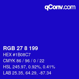 Color code: RGB 27 8 199 | qconv.com