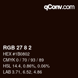 カラーコード: RGB 27 8 2 | qconv.com