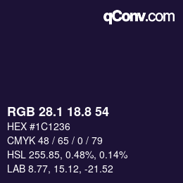 Color code: RGB 28.1 18.8 54 | qconv.com