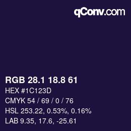 Color code: RGB 28.1 18.8 61 | qconv.com