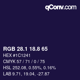 Color code: RGB 28.1 18.8 65 | qconv.com