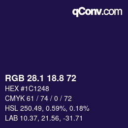 Color code: RGB 28.1 18.8 72 | qconv.com