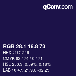 Color code: RGB 28.1 18.8 73 | qconv.com