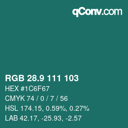 Color code: RGB 28.9 111 103 | qconv.com