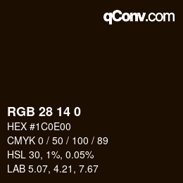 Color code: RGB 28 14 0 | qconv.com