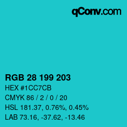 Color code: RGB 28 199 203 | qconv.com