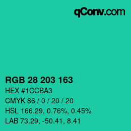 Color code: RGB 28 203 163 | qconv.com